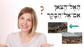 Hebrew - Review game for lessons 75-76 - Biblical Hebrew by Aleph with Beth